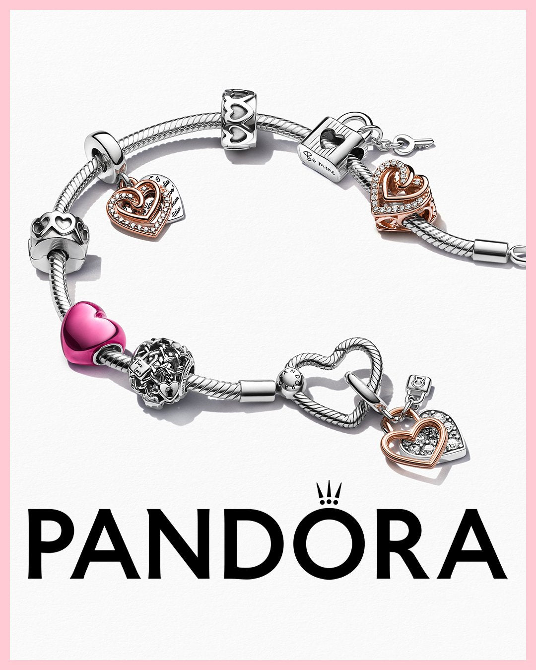 Pandora  Moments Charm Carriers