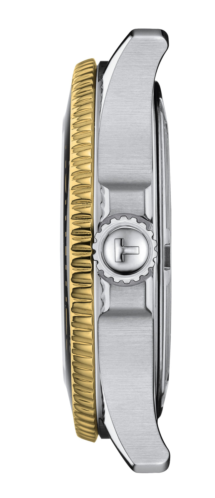 The Tissot Seastar 1000 36 mm,