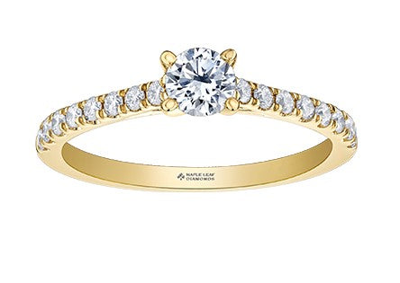 14 Karat Multi Stone Engagement Ring, 0.50 CT Center