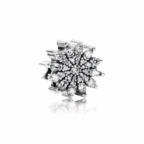 Ice Crystal Charm