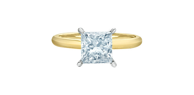 Diamond Evolution 14ky LG 1.03ct Princess Cut Engagement Ring