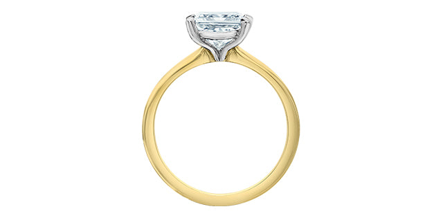 Diamond Evolution 14ky LG 1.03ct Princess Cut Engagement Ring