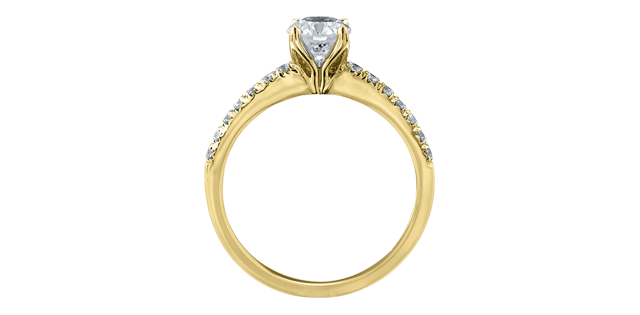 14k Canadian Diamond Engagement Ring,