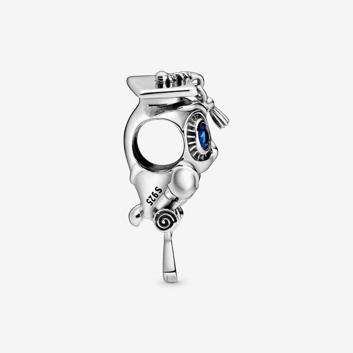 Pandora Wise Owl Graduation Charm