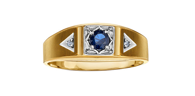 10K Sapphire & Diamond Gents Signet Ring
