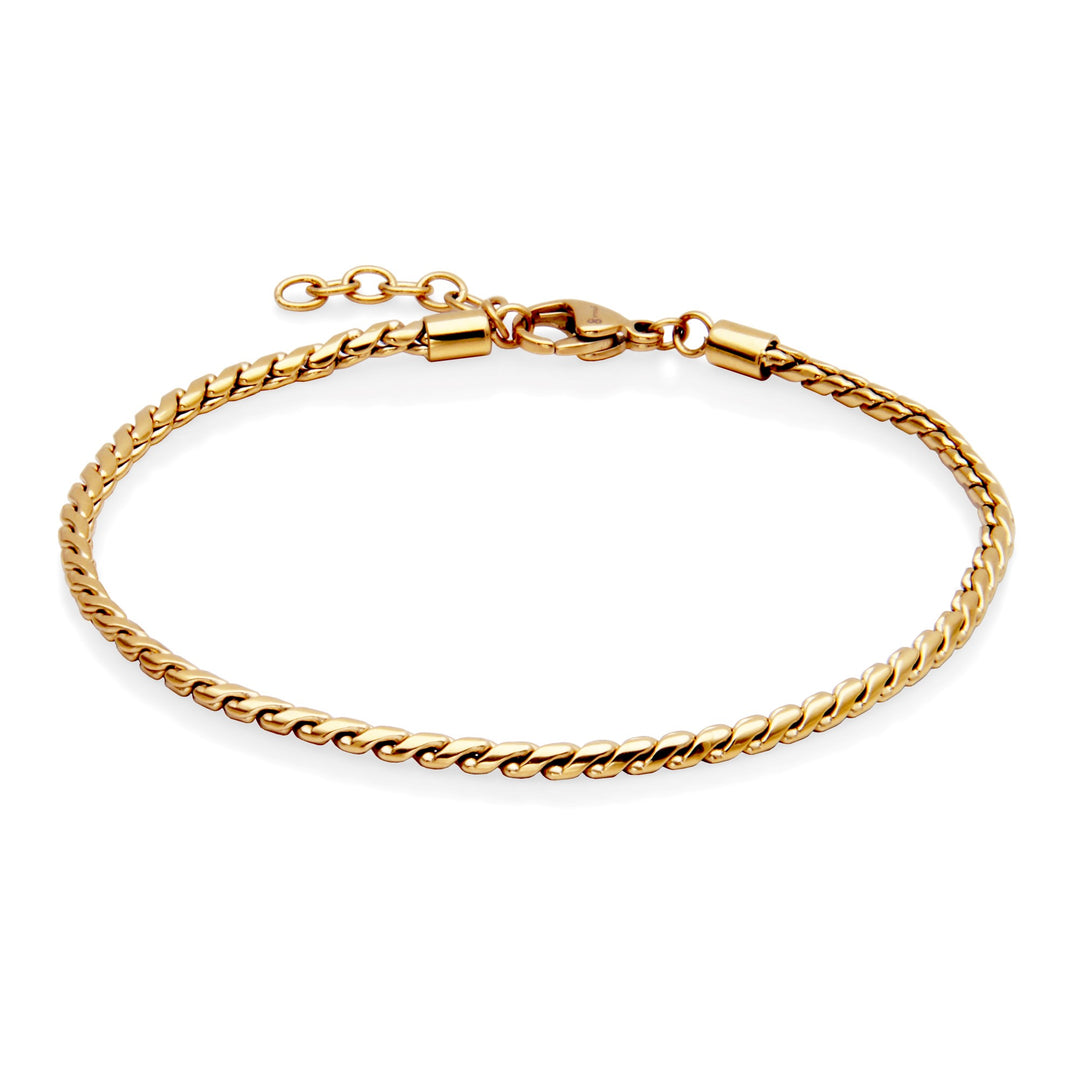 STEELX Snake Chain Anklet