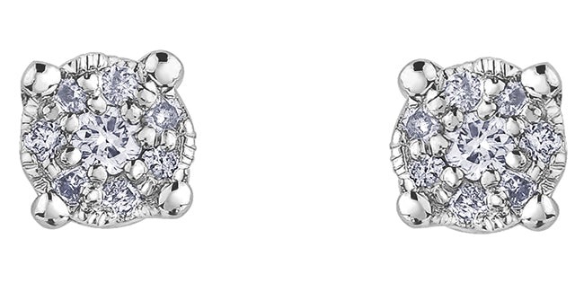 Forever Jewellery 10K Cluster Diamond Studs